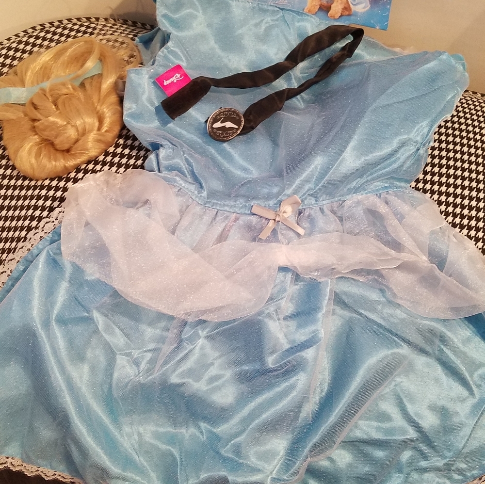 Cinderella dog costume